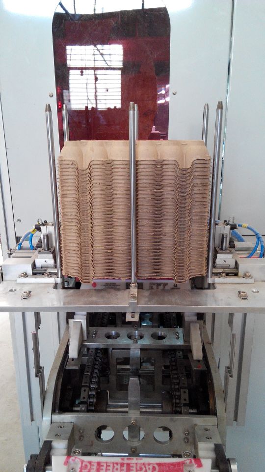 Automatic 6 Colors Egg Trays Pad Printing Machine