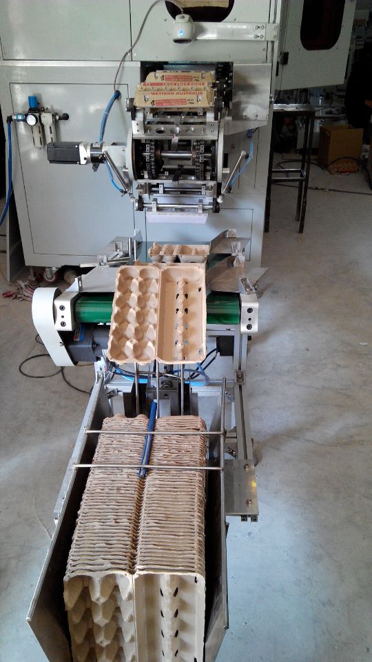 Automatic 6 Colors Egg Trays Pad Printing Machine
